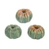 Transpac Small T C Golden Fields Pumpkin Set Of 3 Ceramic Decorative Figurines For Fall Harvest Indoor Tabletop Decor
