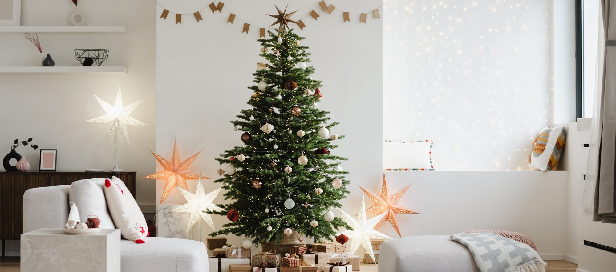 Transpac -Transpac 3